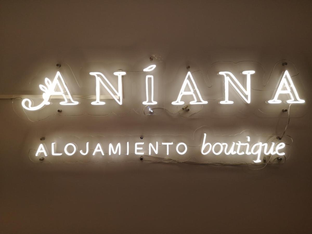 Aniana Alojamiento Boutique Логроньо Екстериор снимка